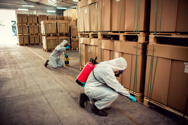 Pest Prevention Services in National City, CA