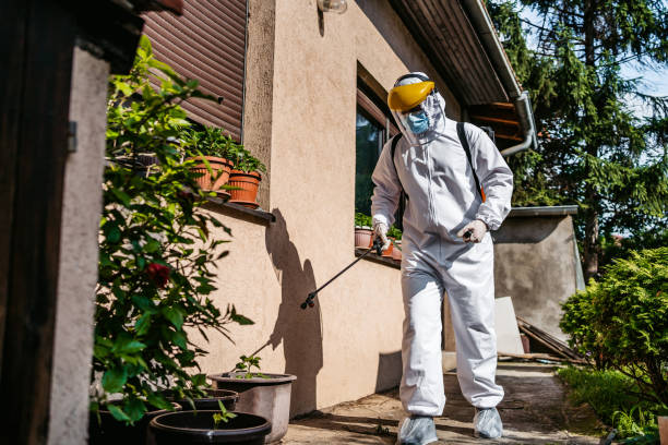 Best Best Pest Control Companies  in National City, CA