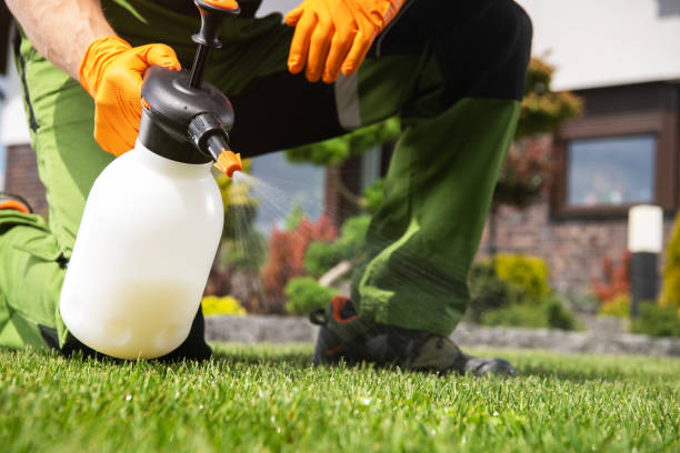 Best Rodent Control Near Me  in National City, CA