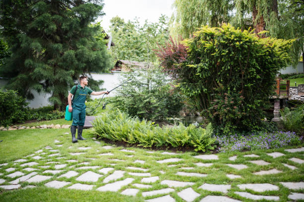 Best Exterminator Services  in National City, CA