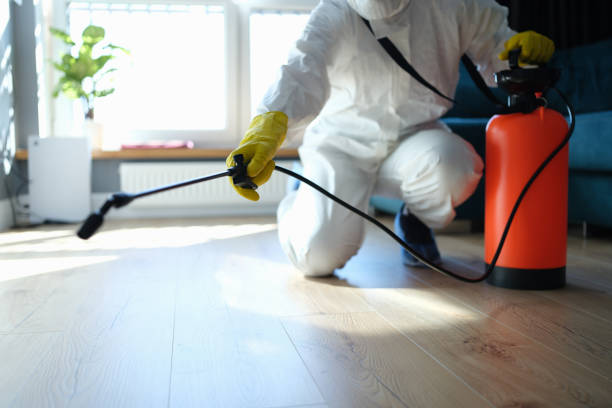 Best Mosquito Control Services  in National City, CA