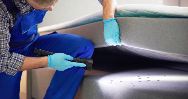Pest Prevention Services in National City, CA