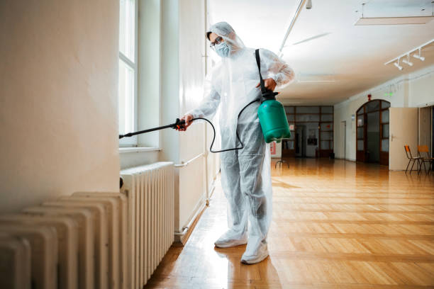 Best Pest Removal Services  in National City, CA