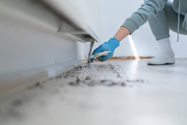 Best Best Pest Control Companies  in National City, CA