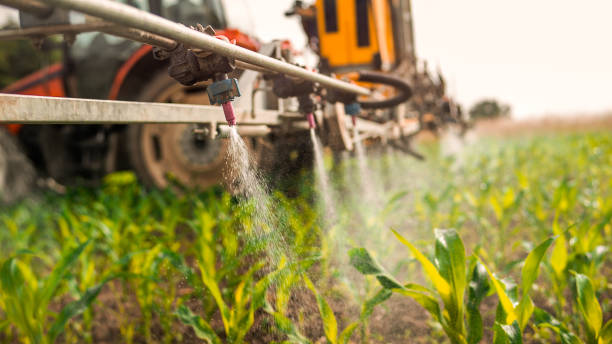 Best Wildlife Control Services  in National City, CA